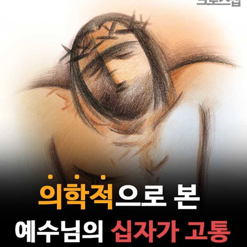 의학적으로 본 예수님의 십자가 고통 (그림)