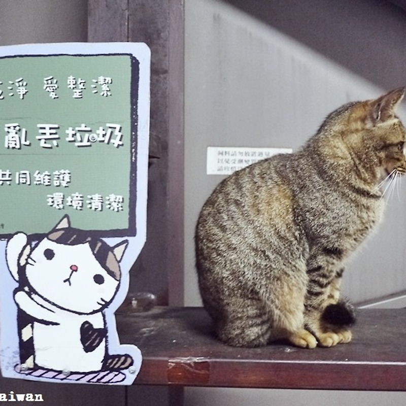 대만여행 #8 - 허우통 고양이마을 산책①