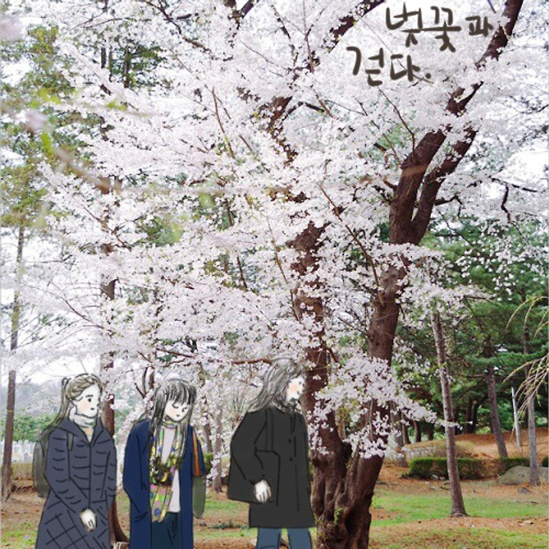 국립현충원으로의 벚꽃 산책