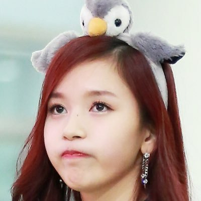 [트와이스] 묘이 미나 팬들의 최대 난제 | 인스티즈