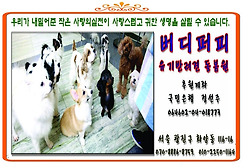 대표 관련이미지