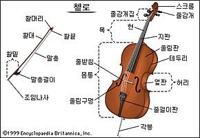 첼로 이미지