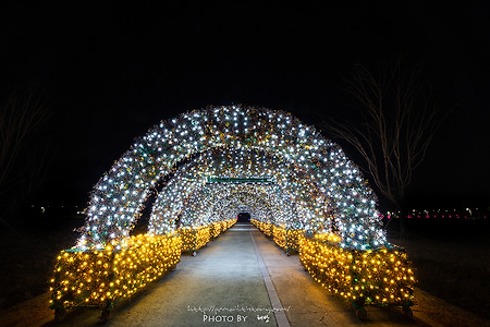 황산공원 불빛정원