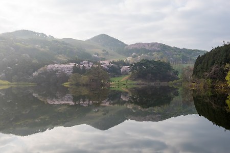 서산 용비지의 봄..