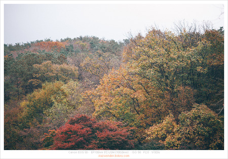 흐린 가을 날 (Canon 5D)