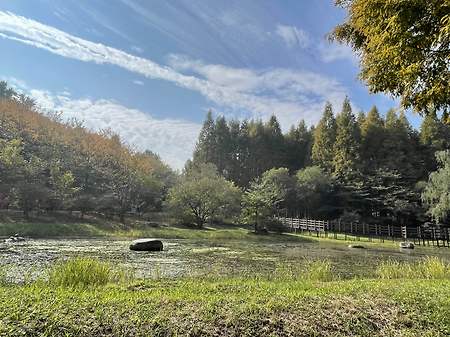 오산 물향기 수목원~회사 야유회~