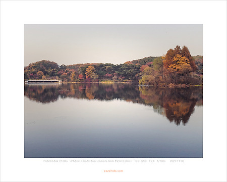 [Canon 5D] 순식간에 물들고 지는 가을, 서울대공원
