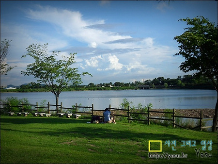 그 아버지의 그 아들 (수원서호저수지에서..)