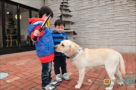 어디서 개수작이야?