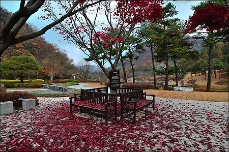 가을에 어울리는 나만의 작품사진을 인화해보자~