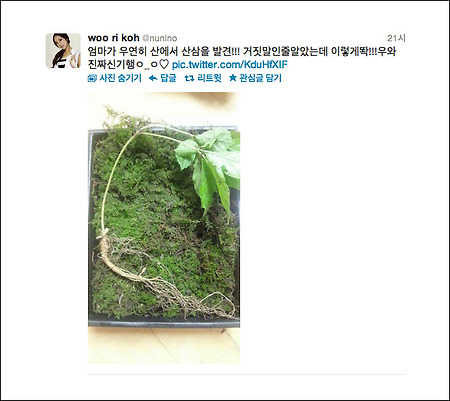 고우리 산삼 - 레인보우 고우리 트위터 '산삼 인증샷' 공개