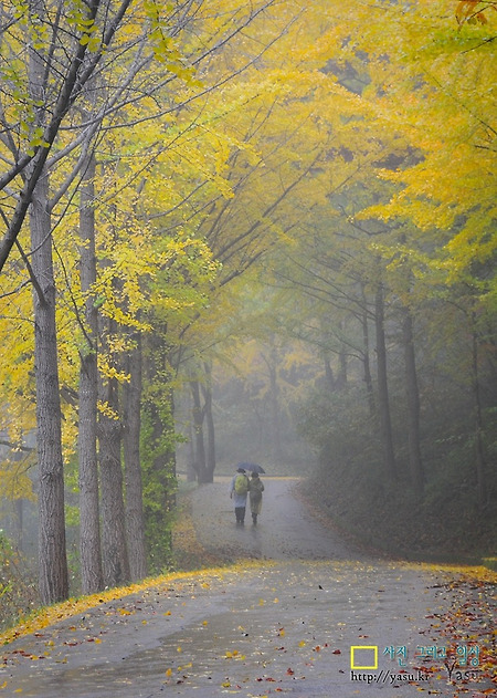 칠갑산 우천산행~(가족동반등반대회)