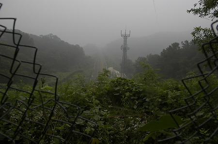 안개속의 KTX는 간다~