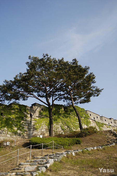 [D100] 수원 화서문에서...