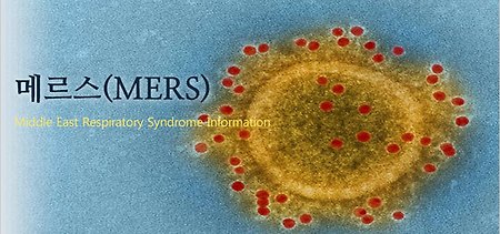 메르스(MERS)로 인한 일상..