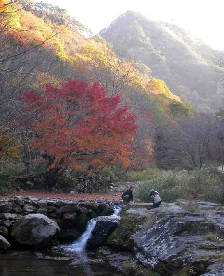 저 전북 순창 강천산 떠납니다...