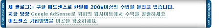 [애드센스팁]구글 애드센스에 예쁜스킨을 입히자~!!