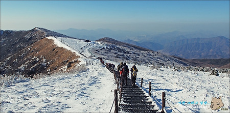 1월의 눈내린 소백산 산행사진~ 19장