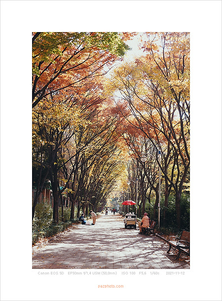 [Canon 5D] 미술관 산책