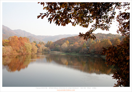 가을이 좋다 (Canon 5D)