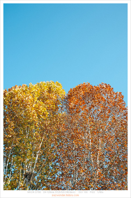 가을 휴일 (Nikon D700)