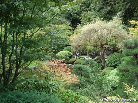 [Rose City Story VIII]Japanese Garden