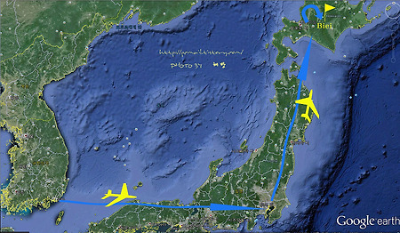 북해도 자유여행 (홋카이도, 비에이, 후라노, 오타루, 동경경유)