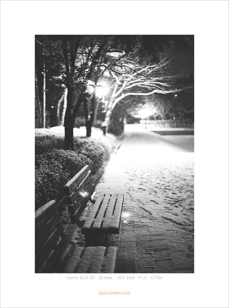 [Canon 5D] 눈 내리는 밤