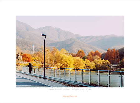 [Canon 5D] 가을 가을