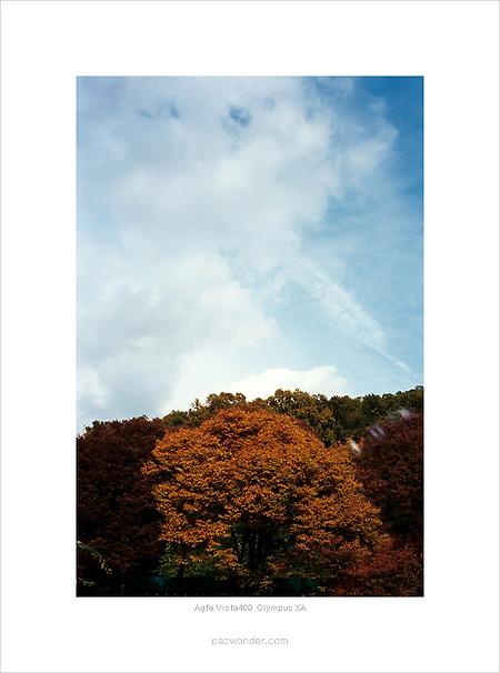 [Agfa Vista400][Olympus XA] 맑은 가을 날