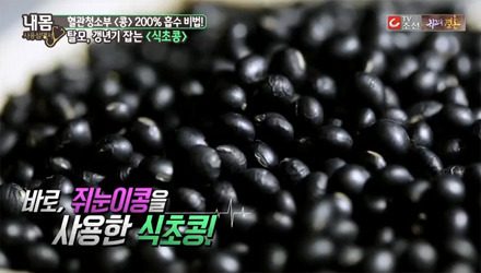 sds page 염색