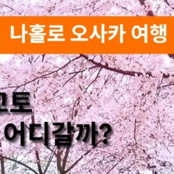블로그 관련글