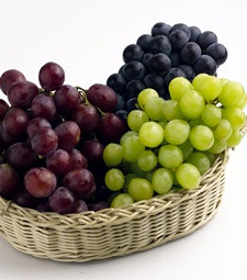 동글동글 포동포동<br>재미있고 달콤한 포도