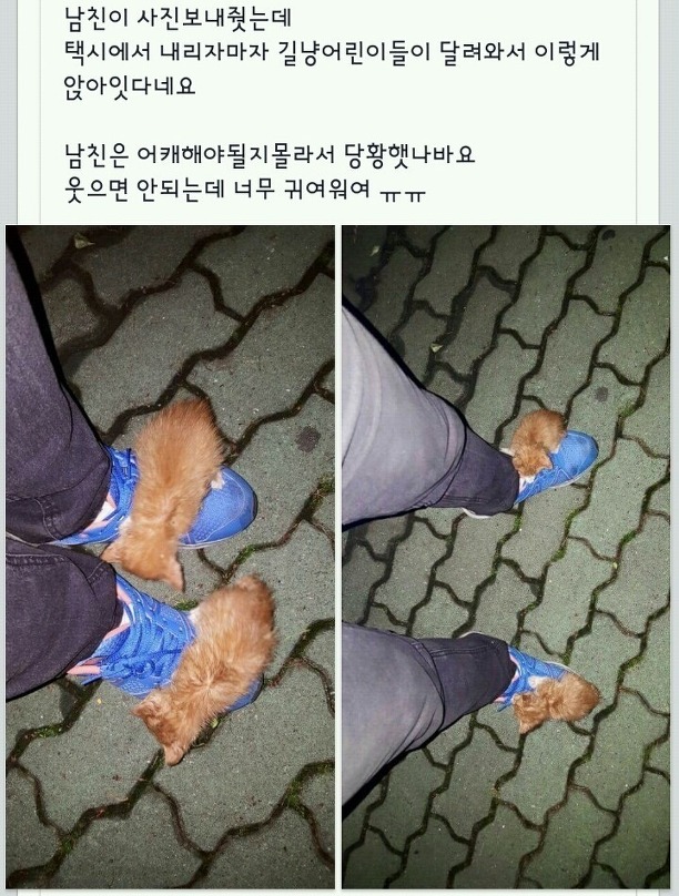 장수월드 이미지