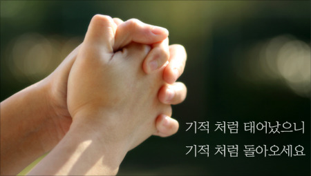 실종자 분들의 생존 소식을 들려오기를 염원하며 <br>실종자 분들의 무사귀환을 기원합니다.