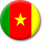 카메룬 국기