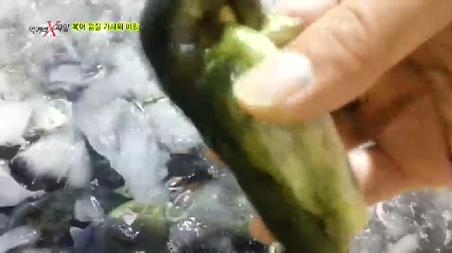  독 없는 복어 껍질 가공실태