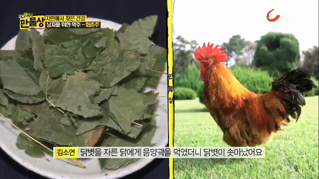 김일성 前 주치의 김소연 박사가 알려주는 술로 장수하는 비법