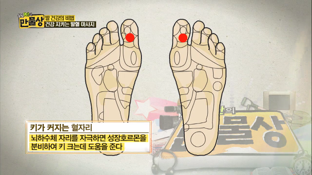 하루 10분 발혈 마사지로 건강을 지켜라