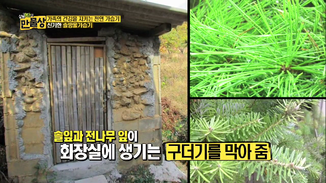 초간단! 초저렴! 내 손으로 만드는 천연가습기