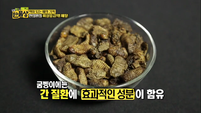 약이되는 굼벵이 따로있다