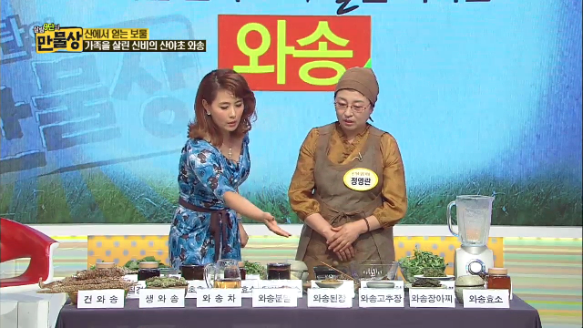 ‘가족을 살린 신비의 산야초’ 와송, 레시피 대공개