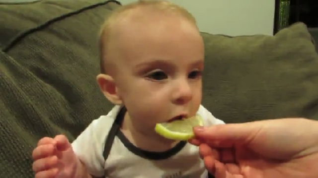  레몬을 먹은 아기의 격한 반응