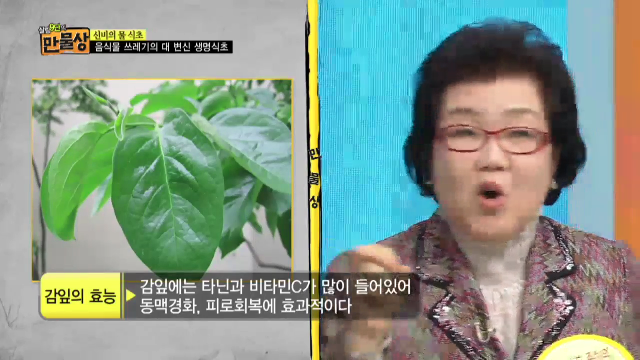 음식물 쓰레기로 만든 식초 맛은?!