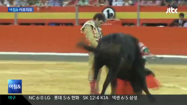  폼잡던 투우사의 최후