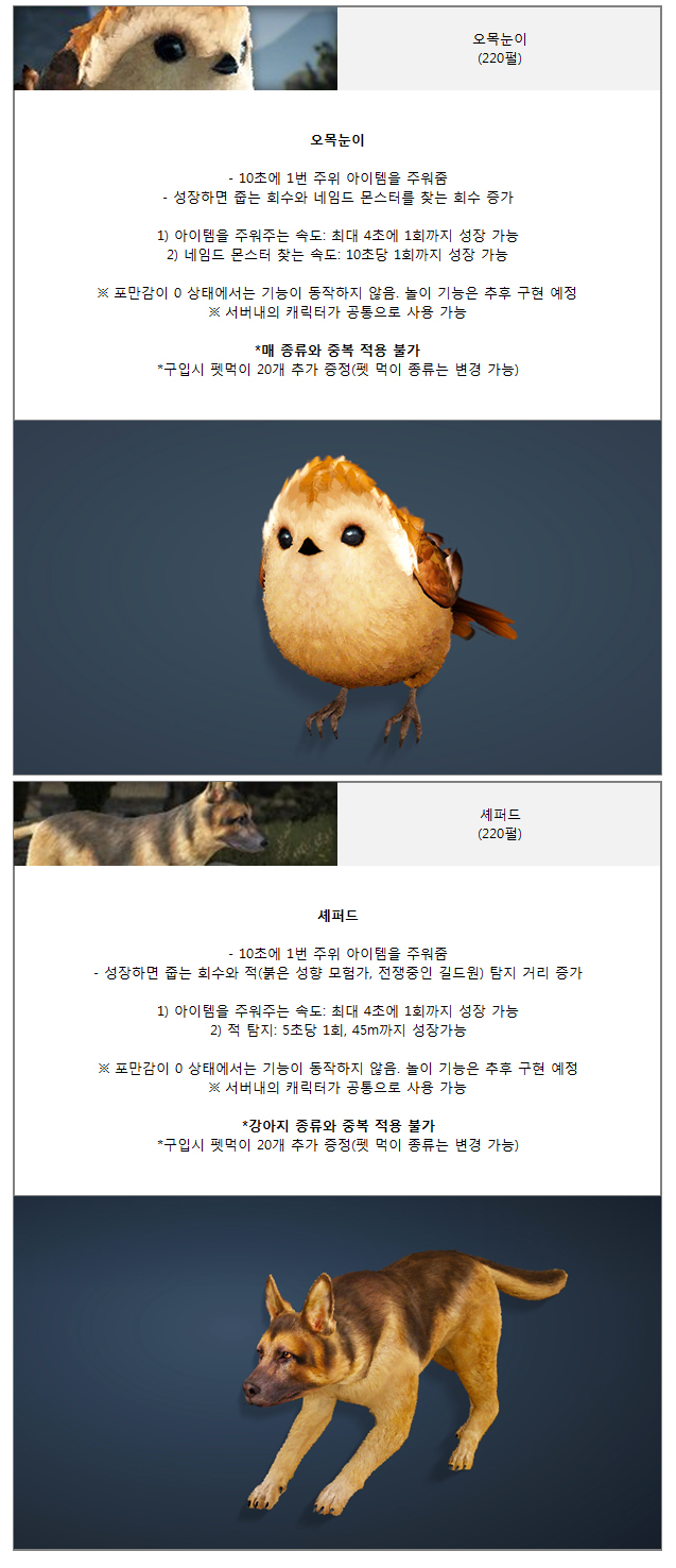 New Pet Breeding System and Chick Pet added! [KOREA]