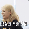 자이언트 펭TV 펭수