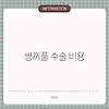 쌍꺼풀 수술 비용