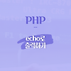 [PHP] echo로 출력하기