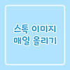 [냐울당 소식지 2] 매일 미리캔버스 스톡이미지 올려보기 (9주 차)